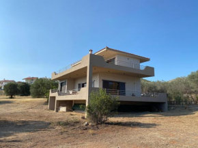 Spacious House, next to Best Beaches near Athens.